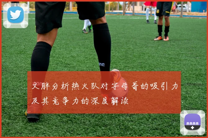 文胖分析热火队对字母哥的吸引力及其竞争力的深度解读